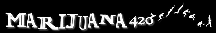 Bongs, Vaporizers, Pipes, Color Changing Glass, Rolling Papers, Hand Pipes, Grinders, Posters, T-shirts and More!
